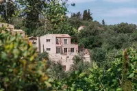 Aelia Paxos Villa by All About Paxos Hotels in 