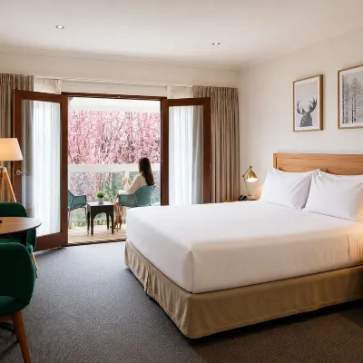 Reisen Hotel Hotels near Beerenberg Farm
