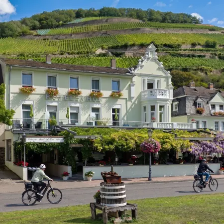 Hotel Schön am Rhein