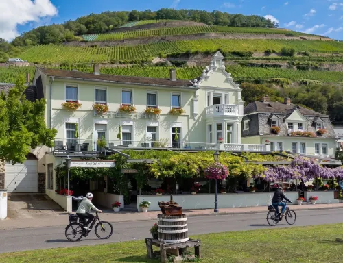 Hotel Schön am Rhein - بار