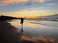 Ocean Front Property, Nearby Beaches and Breathtaking Sunsets! - Beach