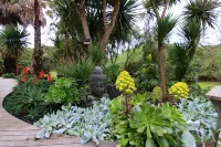 Smith Beach Getaways Beachwood Garden Studio -  Holiday Villas