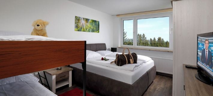 "Holiday apartment Kleine Auszeit" - Dogs welcome Hoteles en Winterberg