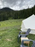 Bear Spring Eco Retreat - 3 stjerner