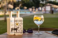 Vila Park Nature & Business Hotel - bar