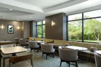 杜勒斯機場 SpringHill Suites 萬豪飯店 - 早餐