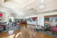 Red Roof Inn Savannah - Richmond Hill/ I-95 - Pet-friendly