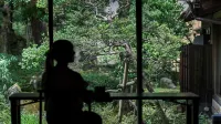 호시 - 뷰