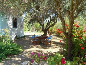 希臘塞洛斯島上美麗的鄉村家園