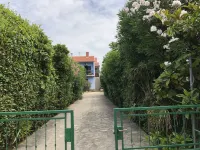 Apartment in Villa, Private Pool, Big Garden, Close to Sea and Old Zadar Town