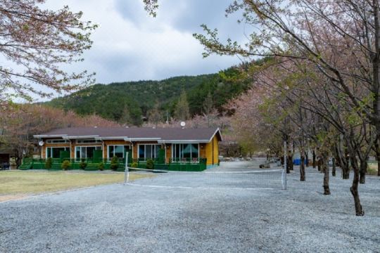 속리산통나무펜션