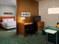 SpringHill Suites Houston Downtown/Convention Center Hotels near Bell Station