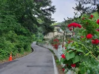 Yangju Healing Shelter Pension Hotel di Yangju