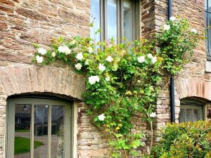 Lovely Cottage Barn Retreat in South Devon