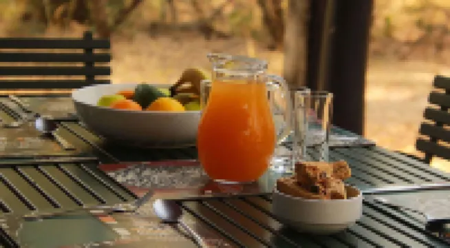 Burchell's Bush Lodge by Dream Resorts Hoteles en Sabie Park