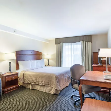 Quality Inn & Suites Northampton - Amherst