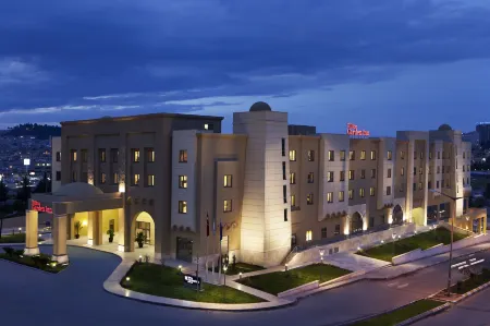 Hilton Garden Inn Sanliurfa Отели в г. Шанлыурфа