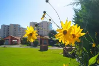Apart Hotel Y Cabanas Vegasur - Wifi