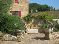Mansarda Viti - Sguardo su Frontone -