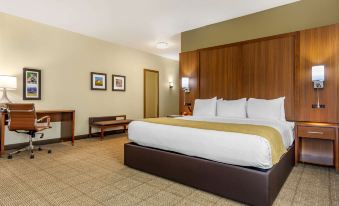 Comfort Inn & Suites Lakewood by Jblm
