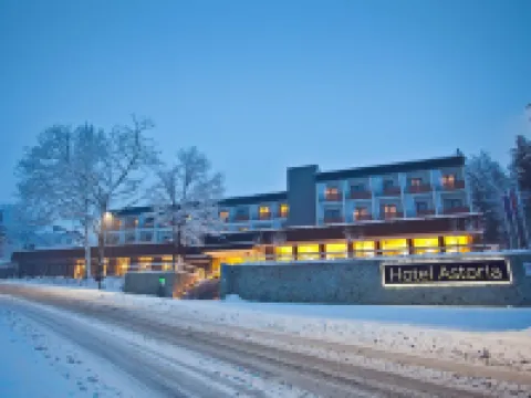 Hotel Astoria Superior Hotel a Bled