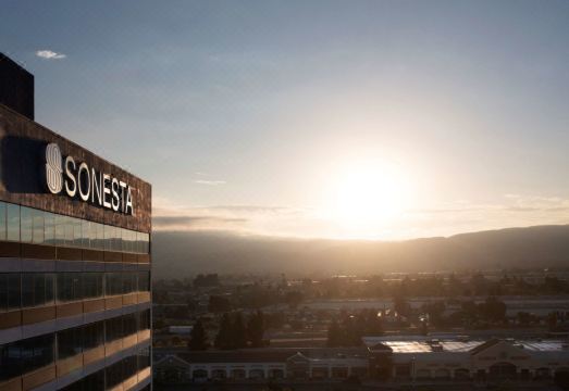 반려동물과 함께 머무는 호텔 객실 이미지