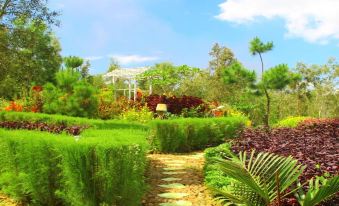 Bukit Lintang Sewu Domping