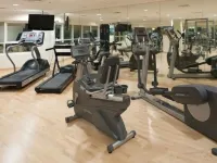 Sunday Hotel Holiday International Dubai - gimnasio