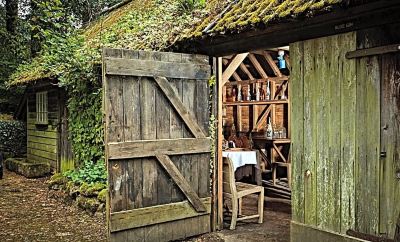 庭 ボビーキャッスルの写真