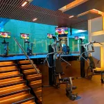 Safi Royal Luxury Metropolitan - gimnasio
