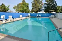 Best Western Executive Inn - Pool