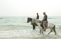 Thapsus Beach Resort