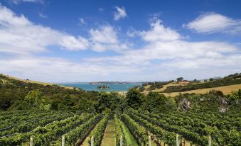 The Little Blue Bach in Oneroa Village by Waiheke Unlimited