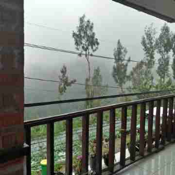 Homestay Lydia Sunrise Others