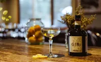 Thredbo Alpine Hotel - bar