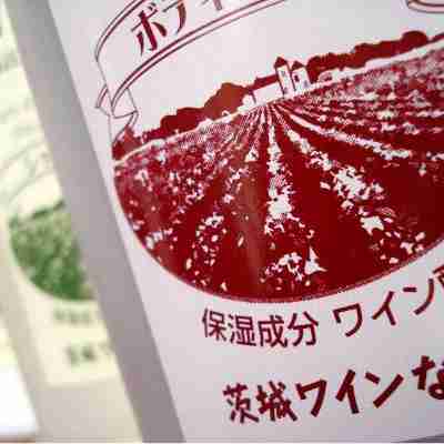 磯料理とワインの宿 春日ホテル Others