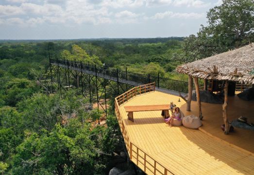 사파리 미식 체험 하단