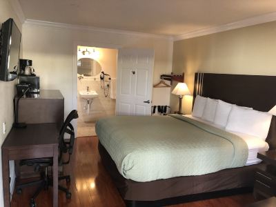 Standard Double Room with 1 King Bed Accessible