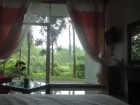 Bridge Hotel Negombo Hotels in Miriswatte