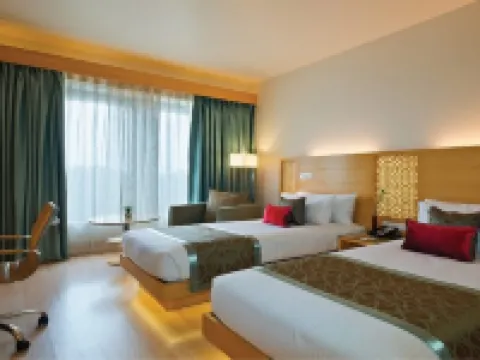 Sayaji Raipur Hotels in Raipur