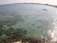 Summer Beach Rooms - Pet Friendly