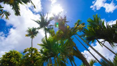 ホテル周辺 オキナワグランメールリゾートの写真