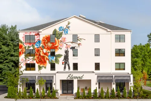 Elwood Hotel & Suites - bar