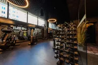Radisson Blu Carlton Hotel Bratislava - Gym