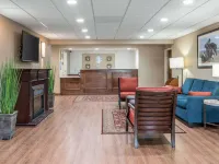 Comfort Inn Hotels in Saugerties