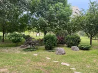 Quiet Single Bedroom in the Centre of Zagreb with Garden