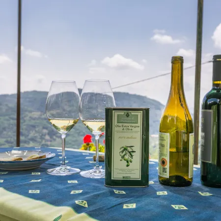 Podere Cima a Zano / Apt.Fienile Pca107
