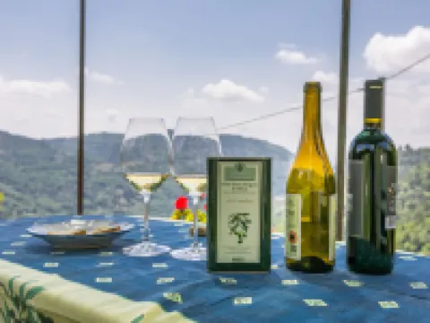 Podere Cima a Zano / Apt.Fienile Pca107