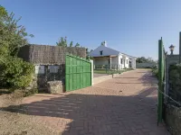 Amado