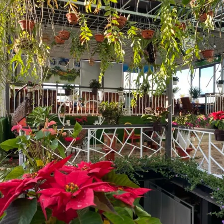 Anh Tuan Hotel & Coffee - Pleiku, Gia Lai